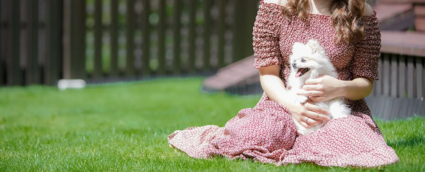 綠草如茵的狗跑區,還可在吊床上小憩(附館Gratis)