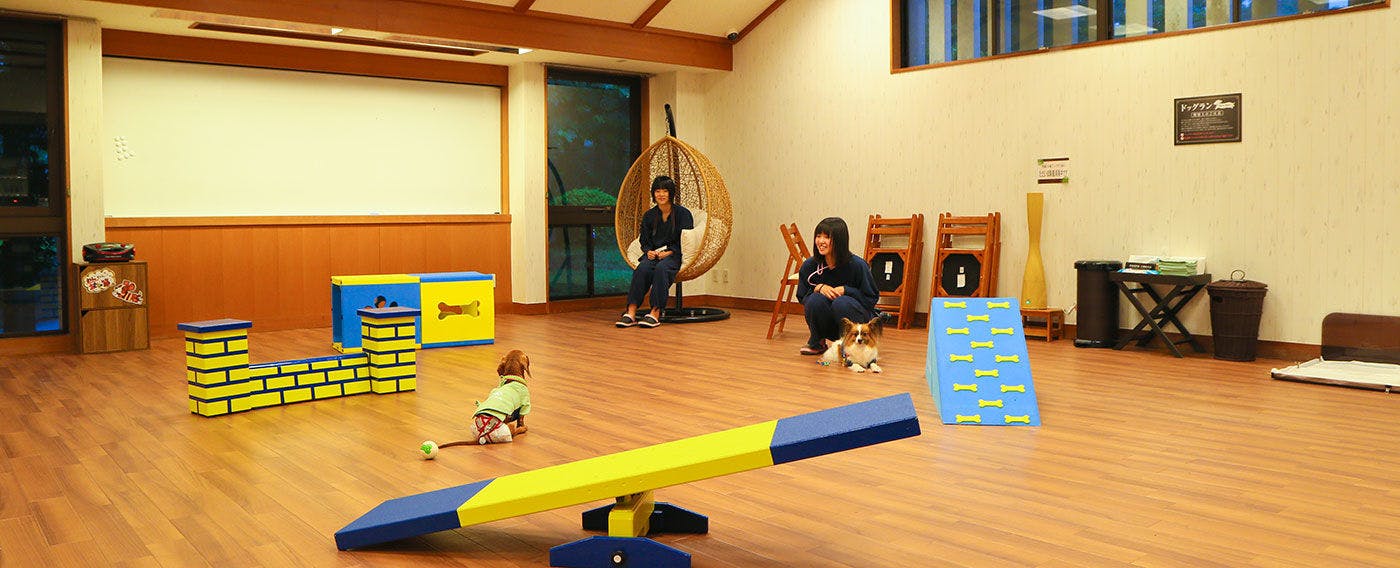 即使下雨天也能安心玩耍！館內狗狗跑步區