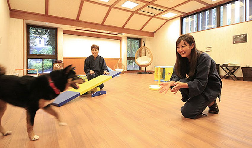 ウブドの森 伊豆高原 の宿泊プラン 宿泊予約は 一休 Com