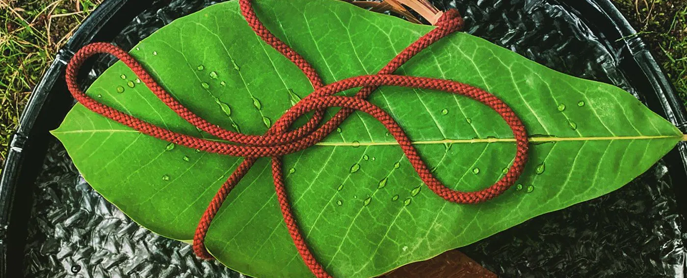 四季を楽しむ宿