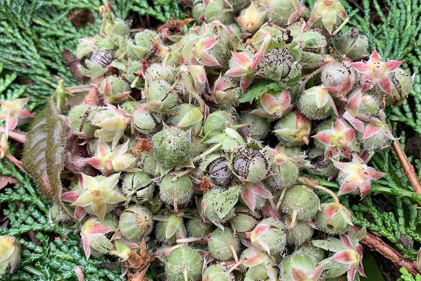 四季を楽しむ宿