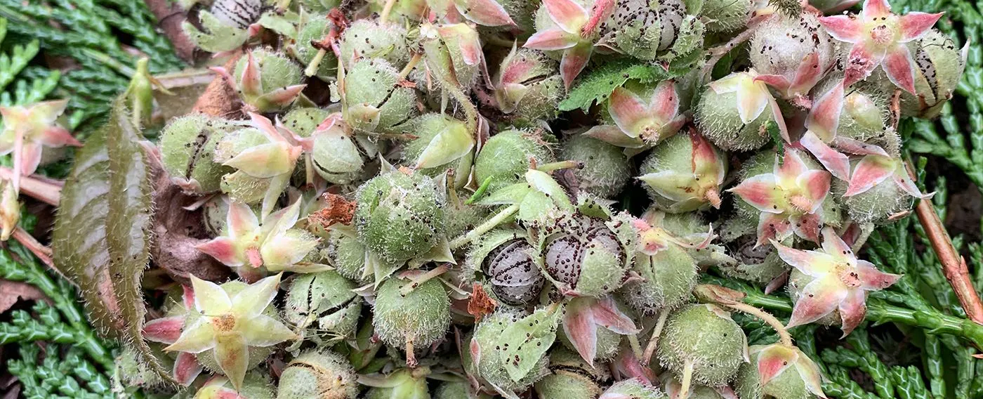 四季を楽しむ宿