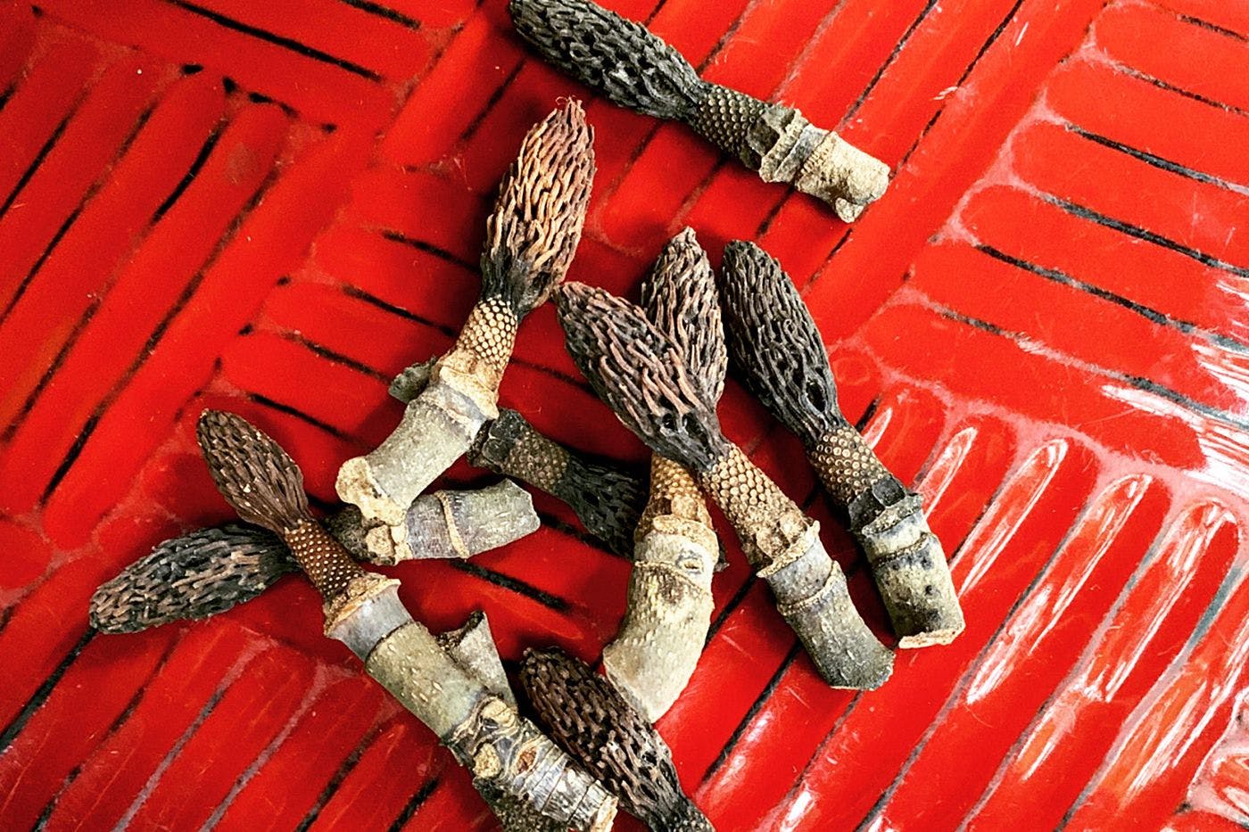 四季を楽しむ宿