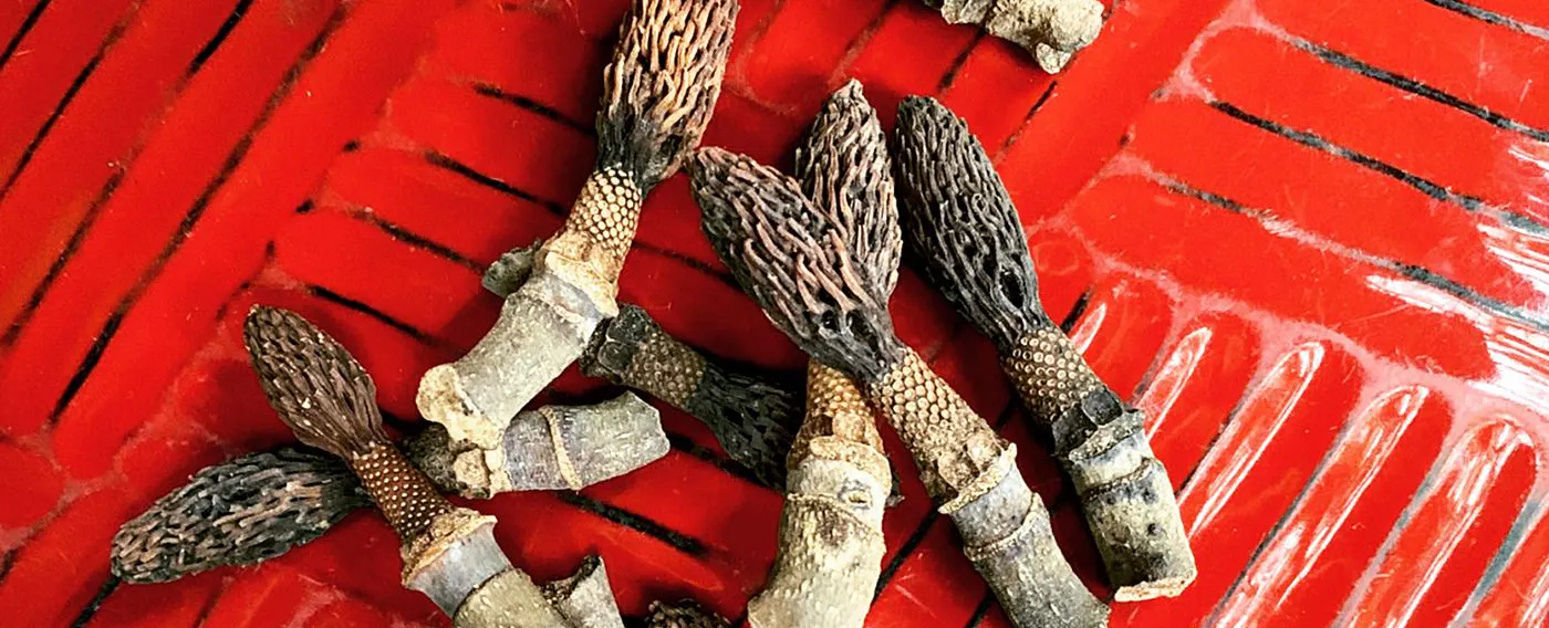 四季を楽しむ宿