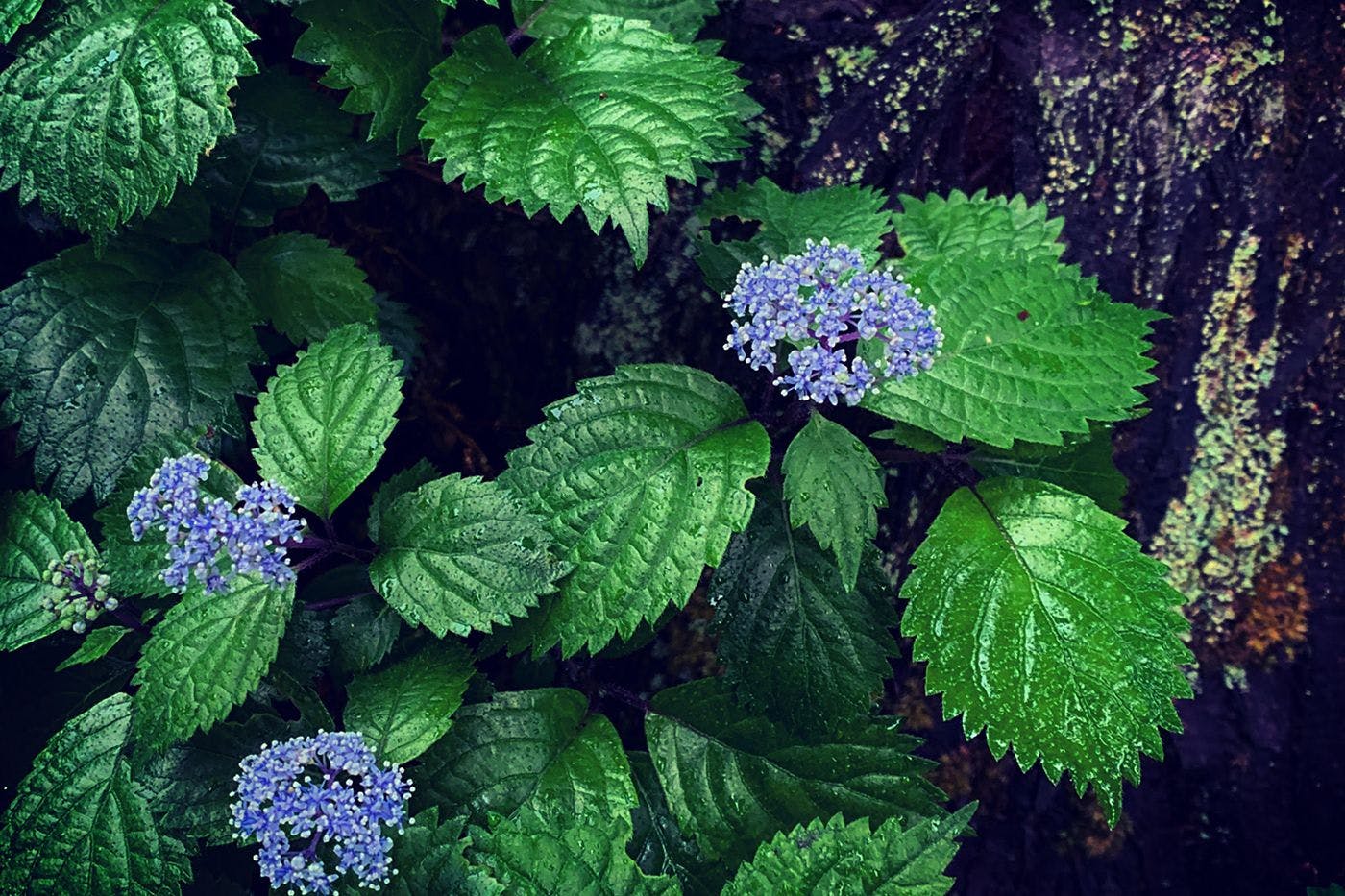 四季を楽しむ宿