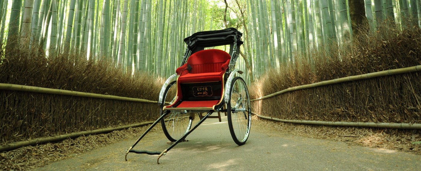 Perkhidmatan pengangkutan percuma