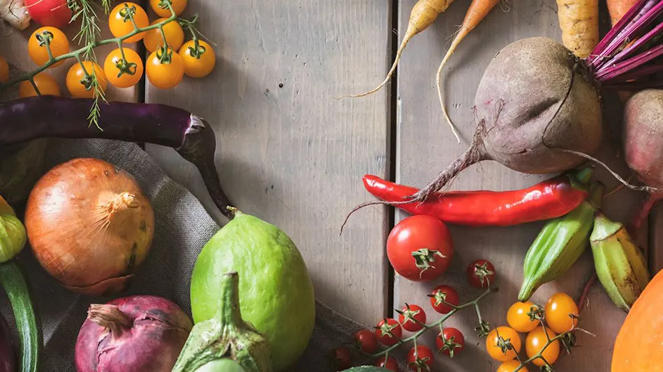 Auberge erba stella - Only who can speak Japanese