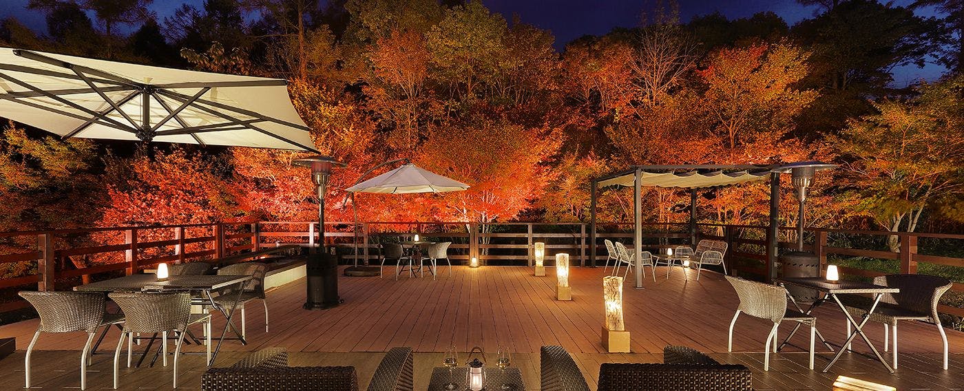 Musim Gugur - Daun Merah