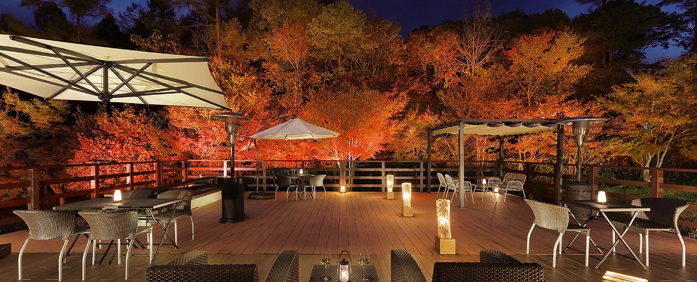 Musim Gugur - Daun Merah