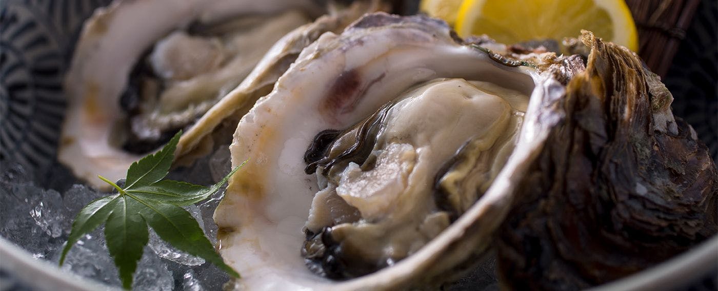 ตัวอย่างอาหารหนึ่งรายการ