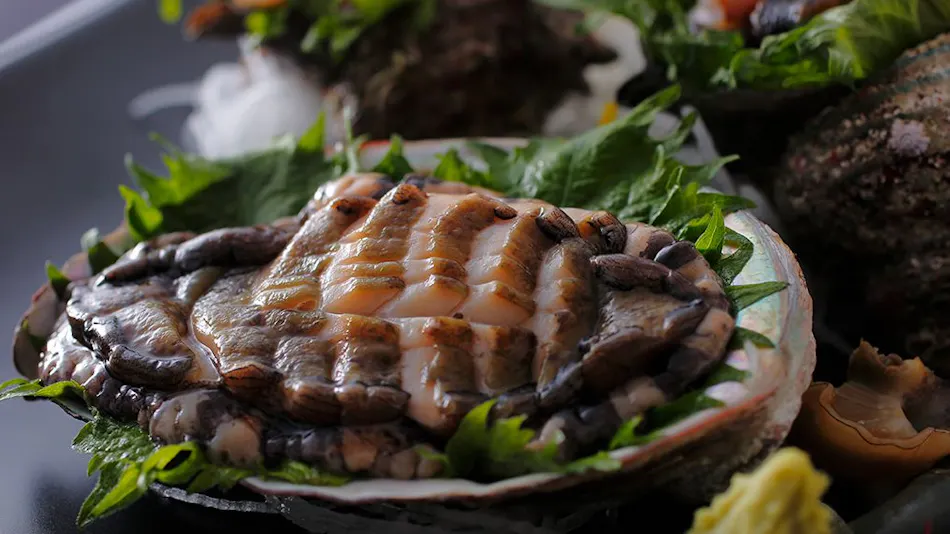 1 Day 8 Groups Limited - Taiza Crab and Local Fish Cuisine - Adult's Scenic Hidden Inn Jukaitei