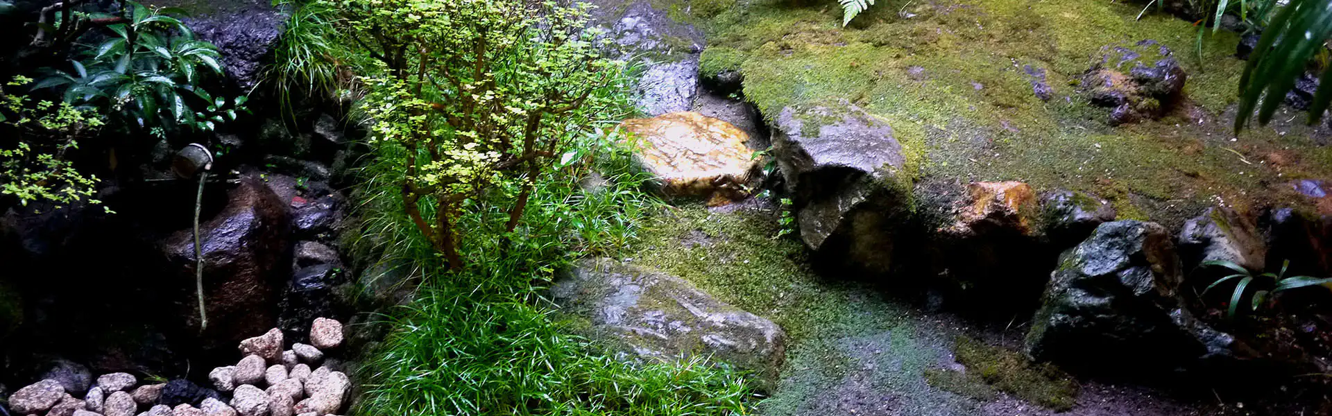 庭