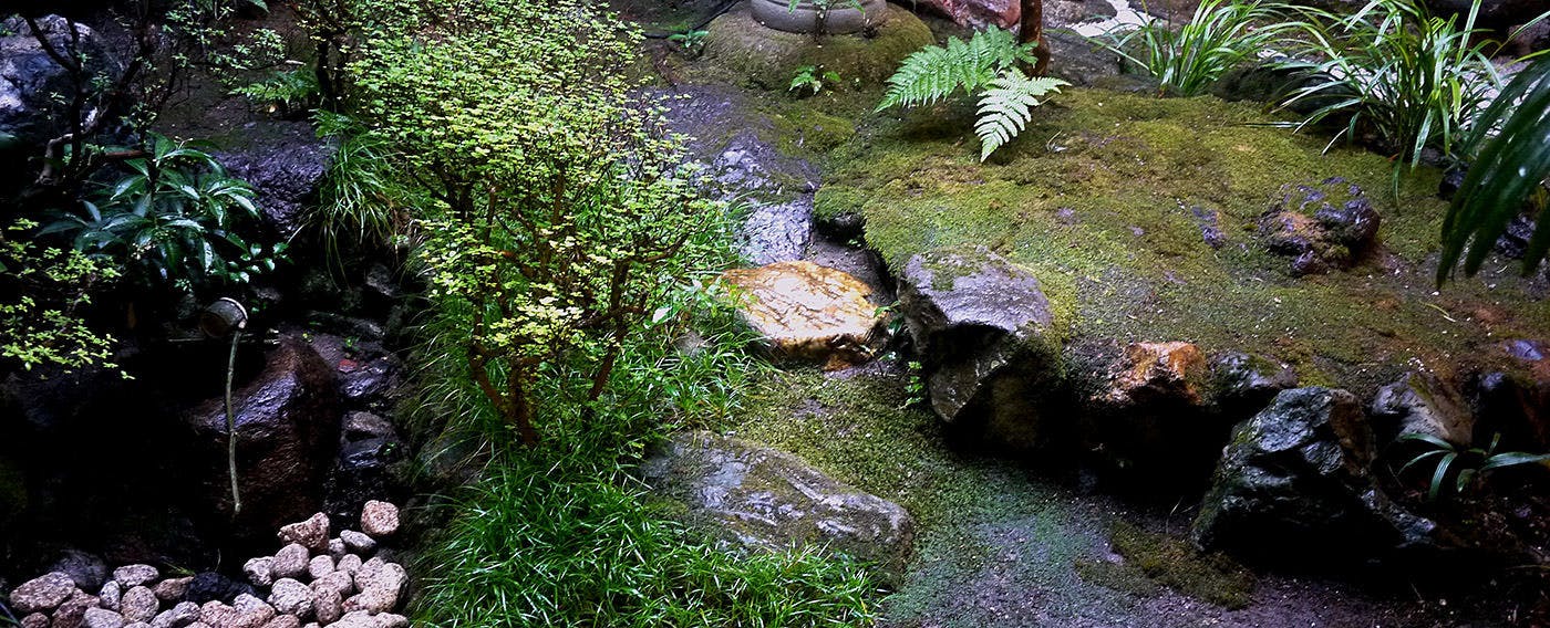 旅宿 井筒安