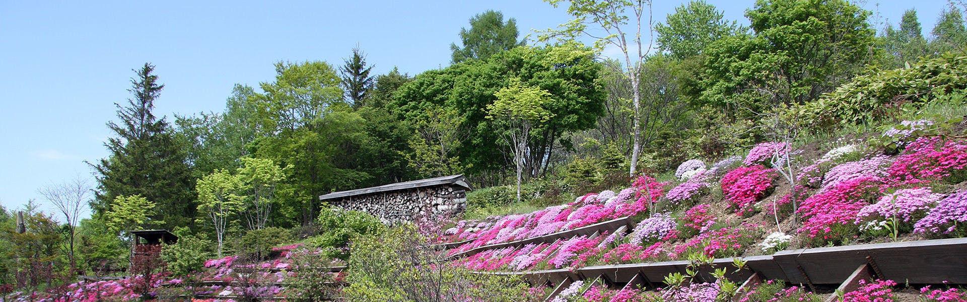 Auberge Kita no Dan Dan