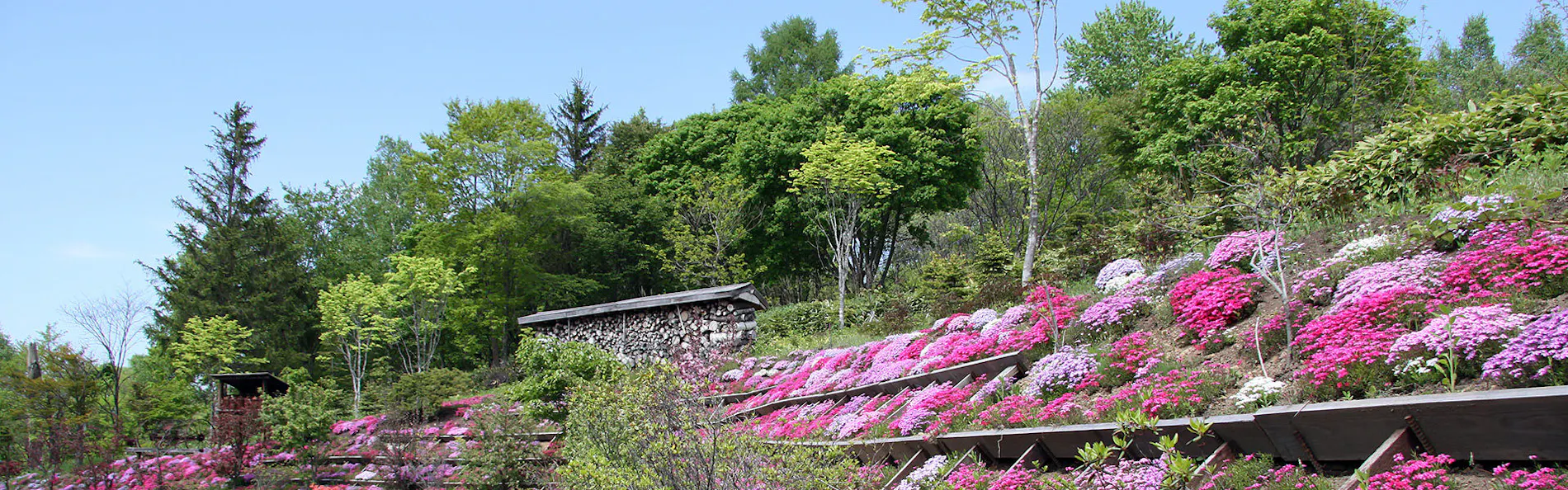 オーベルジュ 北の暖暖