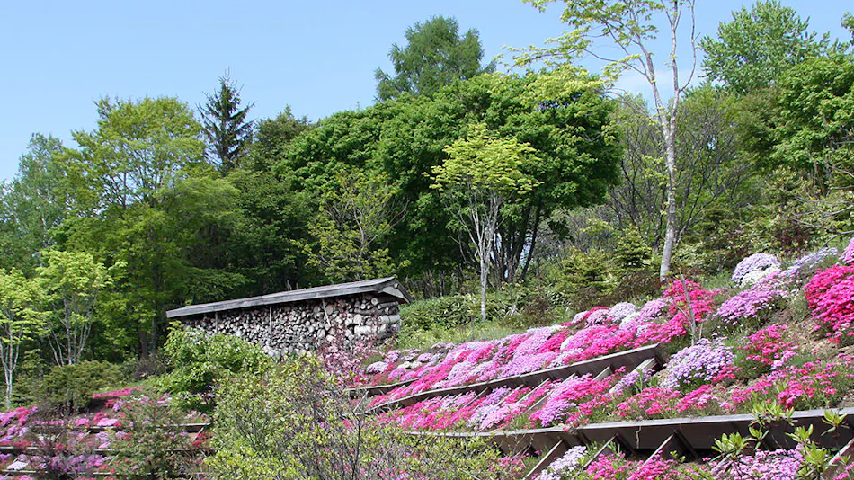 Auberge Kita no Dan Dan