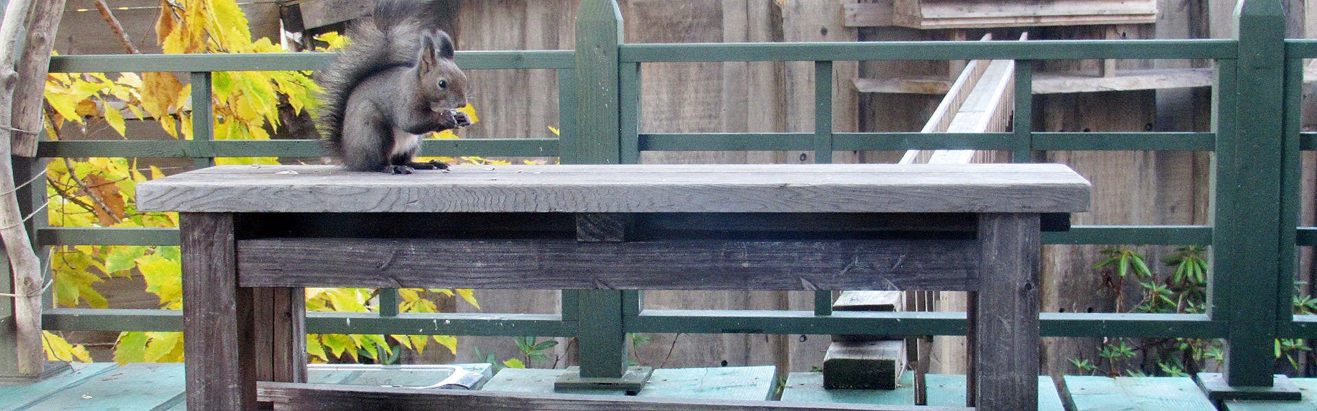 Auberge Kita no Dan Dan