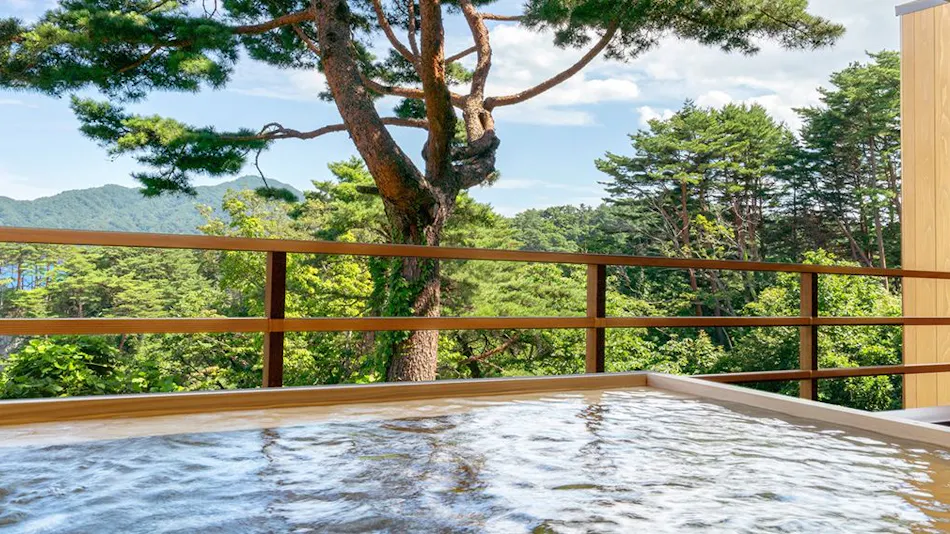 Sanriku Coast Jodogahama Park Hotel