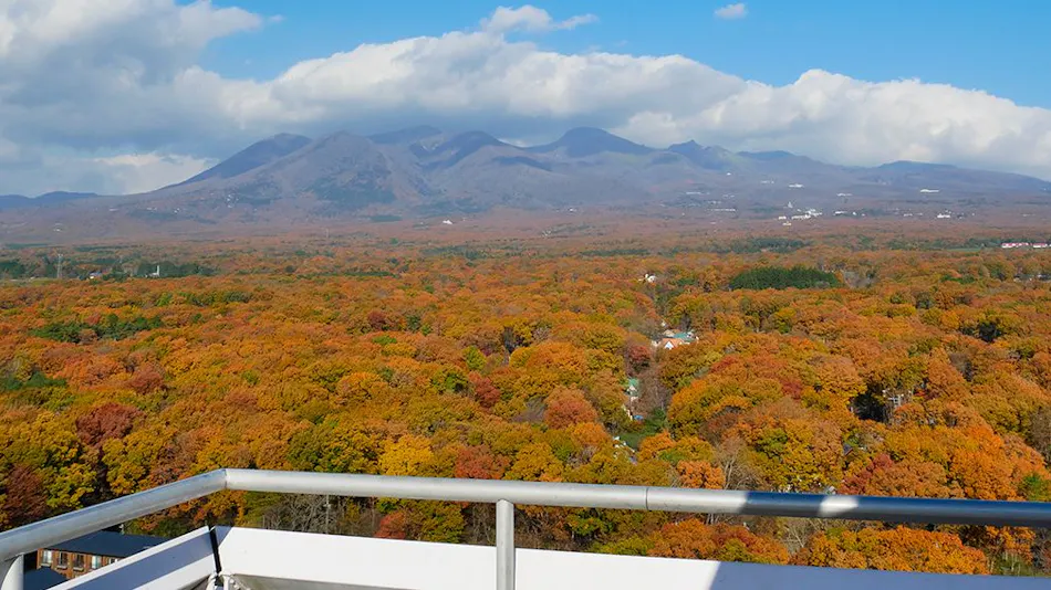 Hotel Epinard Nasu