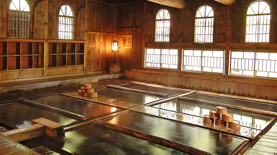 Hoshi Onsen Chojukan