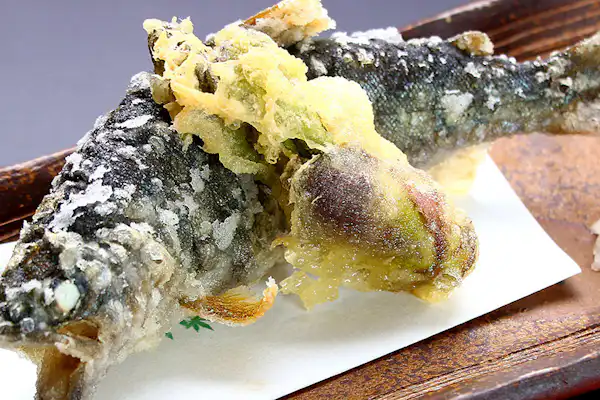 ปลาย่าง