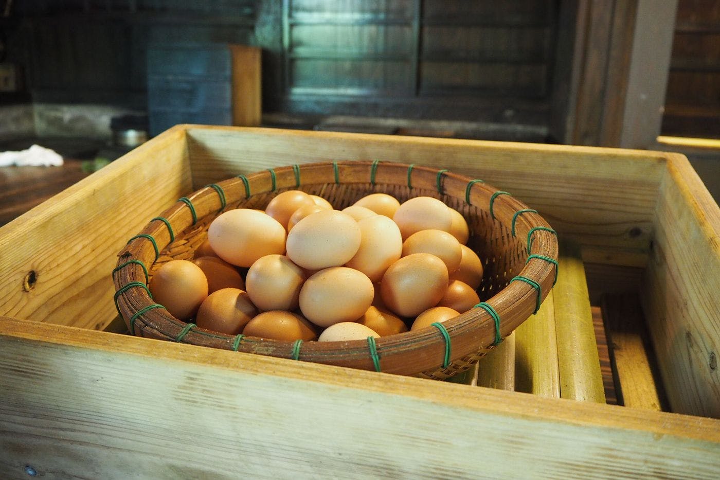 忘れの里　雅叙苑