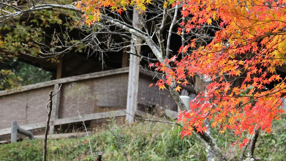 Yasuragi no Yado Matsuya