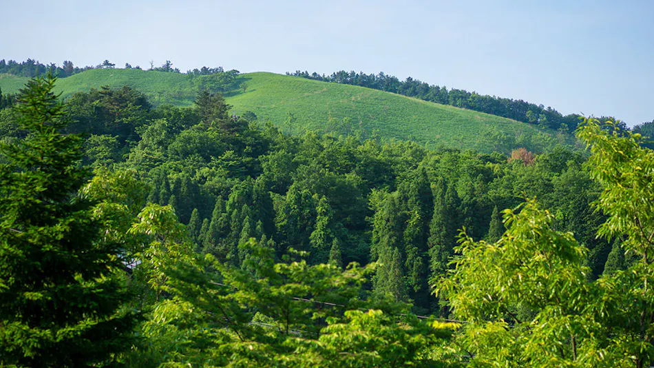 Yasuragi no Yado Matsuya