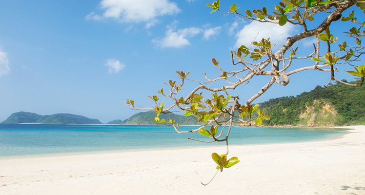 西表島のカップル 夫婦におすすめのホテル 旅館 宿泊予約は 一休 Com