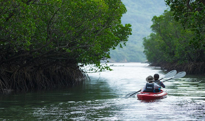 星野リゾート 西表島ホテル の宿泊プラン 宿泊予約は 一休 Com