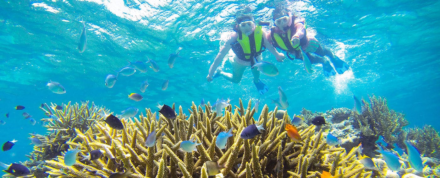 西表島ダイビングサービス 遊びなーら アクティビティが充実した宿 宿泊予約は 一休 Com