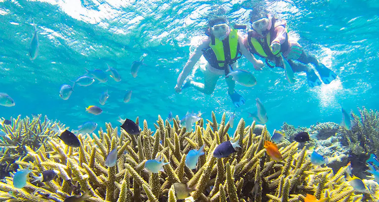 西表島ダイビングサービス 遊びなーら アクティビティが充実した宿 宿泊予約は 一休 Com 西表島ダイビングサービス 遊びなーら アクティビティが充実した宿 宿泊予約は 一休 Com