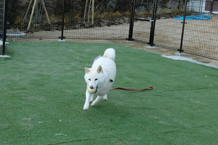 ホテル神戸六甲迎賓館 の空室状況を確認する 宿泊予約は 一休 Com ホテル神戸六甲迎賓館 の空室状況を確認する 宿泊予約は 一休 Com