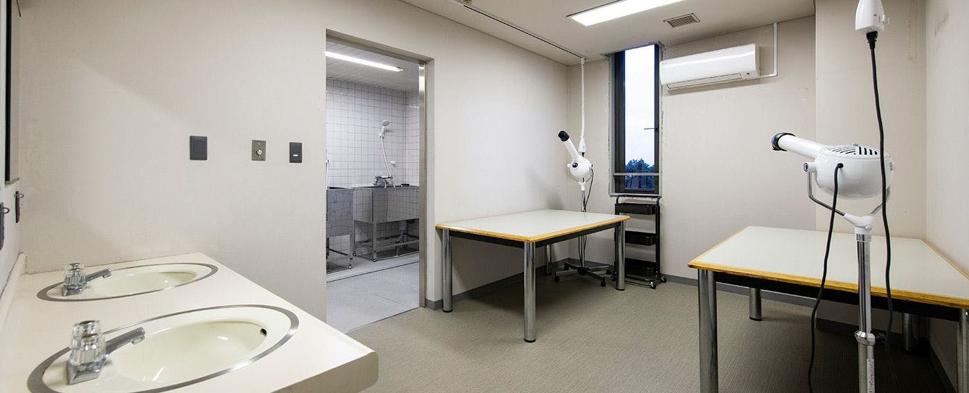 Ruang Perawatan Diri