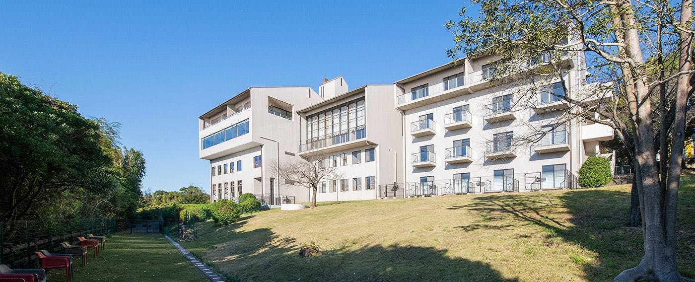 Area bermain anjing luar ruangan