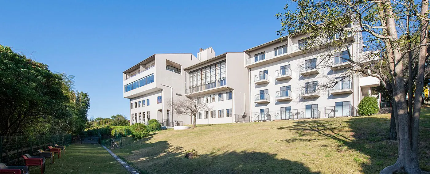 Area bermain anjing luar ruangan