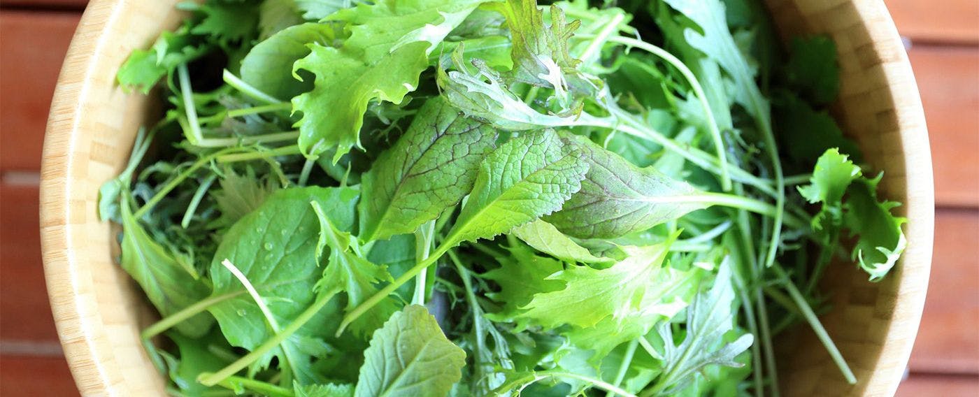 เกษตรกรรม