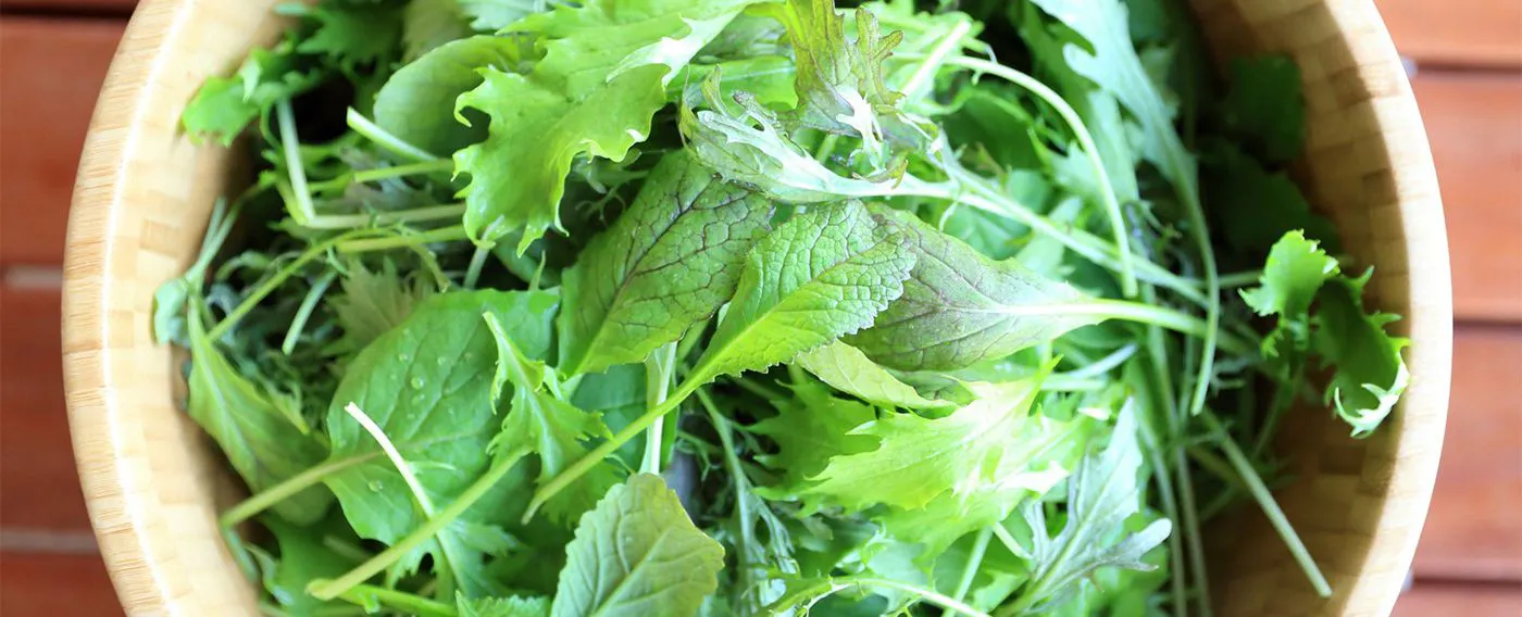 เกษตรกรรม