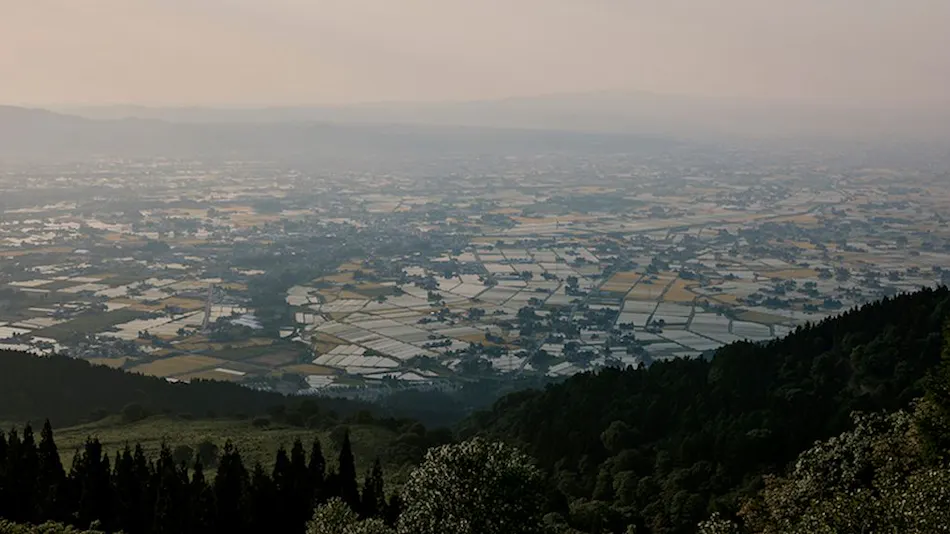 Rakudo An