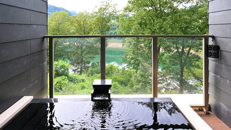 Le Vent Vert Kokyo
