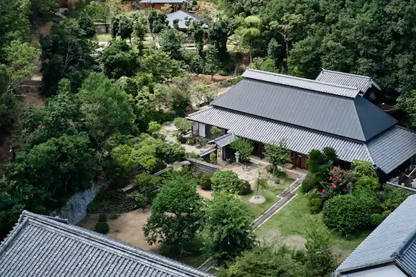 ลักษณะภายนอก