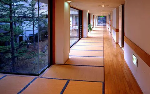 อาคารป่าไม้