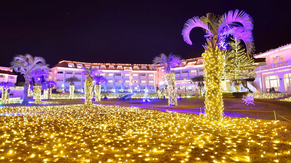 Tateyama Resort Hotel