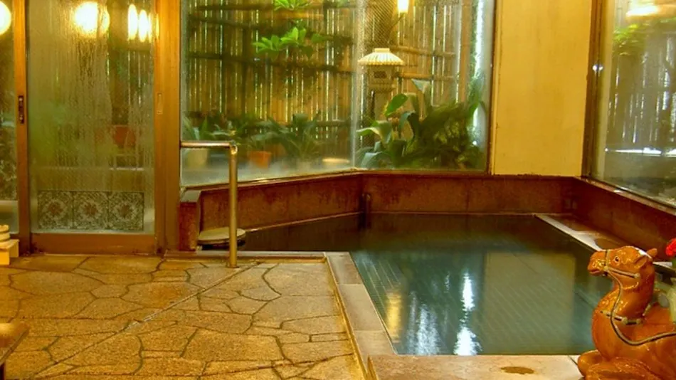 Central Hotel:Traditional Japanese style inn