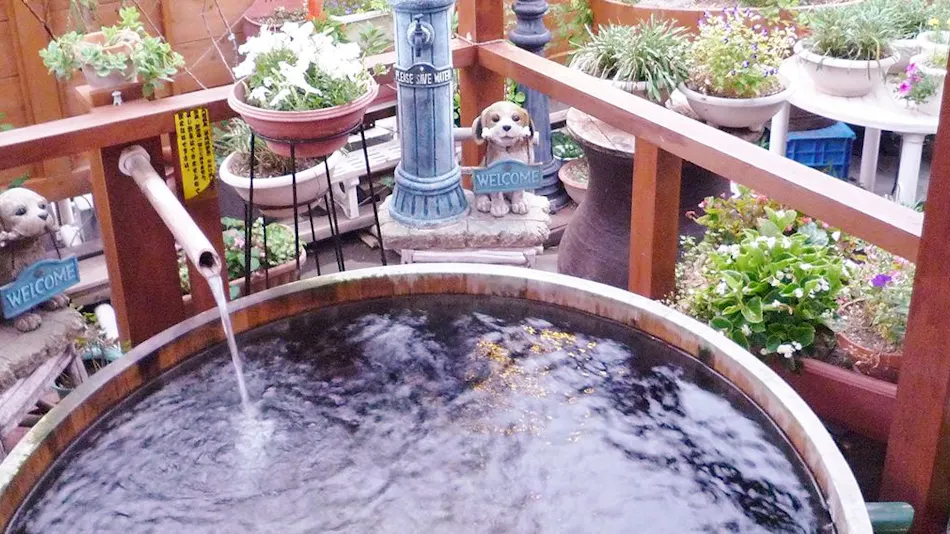 Central Hotel:Traditional Japanese style inn