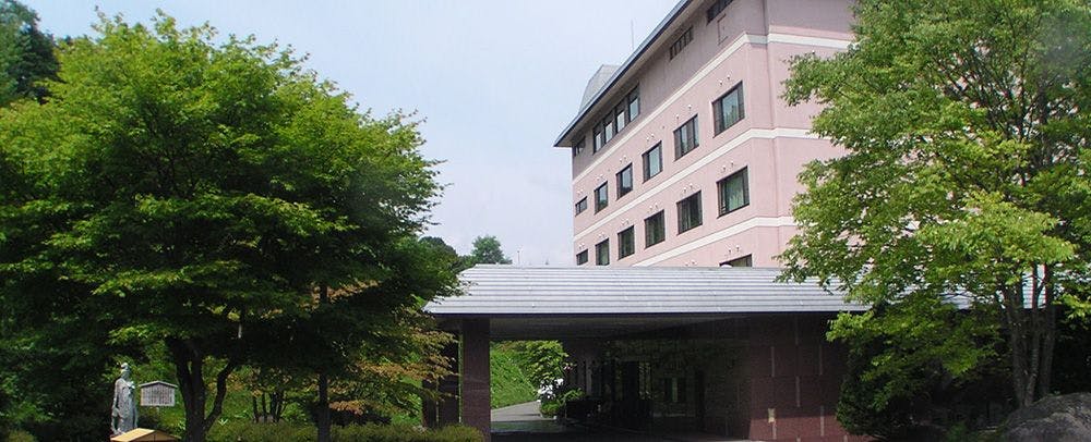 น้ำพุร้อนชินอันปิ เซย์ริวกาคุ