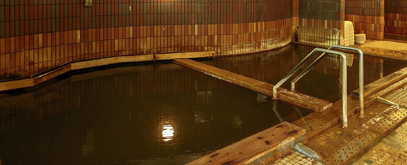 Shinappi Onsen Seiryukaku