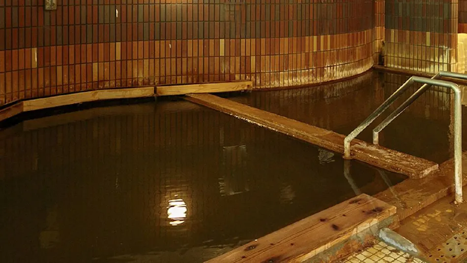 Shinappi Onsen Seiryukaku