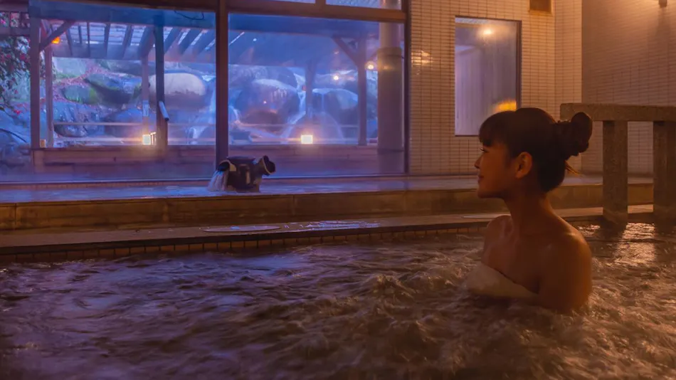 Mashiko-kan Satoyama Resort Hotel