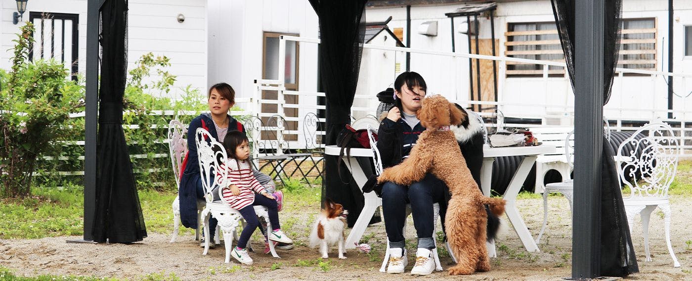 ลานวิ่งเล่นสำหรับสุนัข